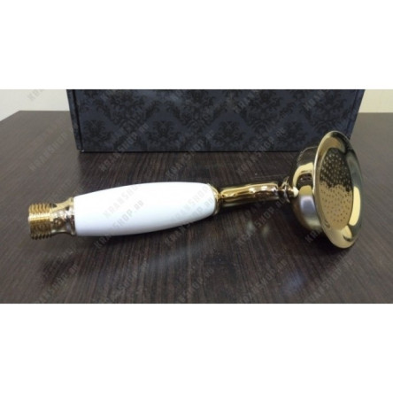 Душевая лейка GANZER GZ1009E GOLD